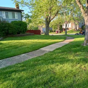 landscape maintenance by Self-Develope Services reviewed on August 17, 2025