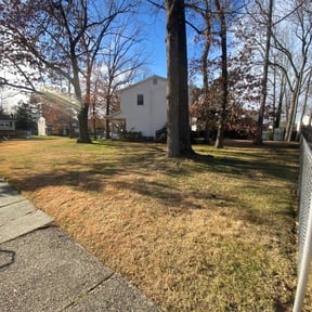 Leaf Removal by AllAround Services llc reviewed on October 1, 2025