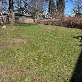 Leaf Removal by Legacy Landscaping reviewed on July 8, 2026
