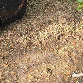 Leaf Removal by MR PINK SOLUTIONS reviewed on April 25, 2026