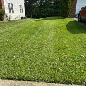 lawn care services by Affordable lawn care reviewed on August 18, 2025