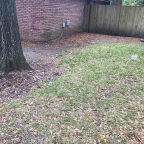 Leaf Removal by BMS Lawncare reviewed on September 23, 2025