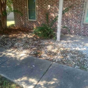 Flower Bed Weeding by Edgar reviewed on November 6, 2025