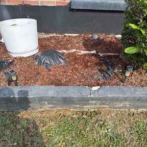 Flower Bed Weeding by Pearl's Landscaping reviewed on April 28, 2026