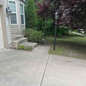 Bush Trimming by Louro landscaping reviewed on May 17, 2026