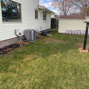 Leaf Removal by Héctor Lawn and Tree reviewed on November 22, 2025