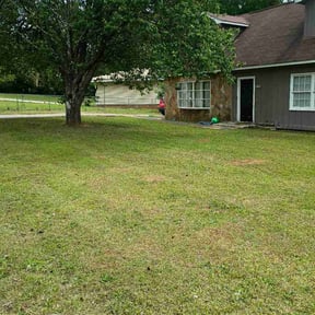 Leaf Removal by Sumner Property Management reviewed on April 9, 2026