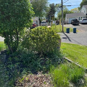 Bush Trimming by Quality Pro. Construction reviewed on May 13, 2026