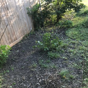 Flower Bed Weeding by Lawn Junkies LLC reviewed on August 15, 2025