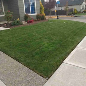 yard work by Mopez Mowing and more reviewed on August 17, 2025