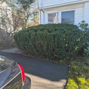 Bush Trimming by Ken&#039;s  Lawncare reviewed on November 19, 2025
