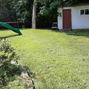 lawn maintenance by Hope Lawn Care reviewed on May 16, 2024