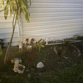 Flower Bed Weeding by JERUSALEM remodeling reviewed on October 22, 2025