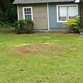 Bush Trimming by Structure lawn care reviewed on August 18, 2025
