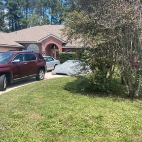 Bush Trimming by Green Tex lawn service reviewed on August 15, 2025