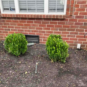 Bush Trimming by McGee Pro reviewed on August 29, 2026
