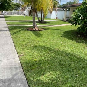 yard maintenance by Hernandez Lawn Care reviewed on November 27, 2025