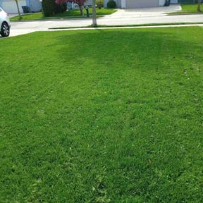 gardening service by Tri Stars landscaping and Snow Services LLC reviewed on August 20, 2025