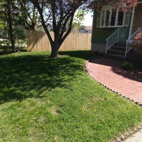 Bush Trimming by Fla Lawn Pros LLC reviewed on August 21, 2025