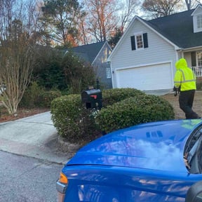 Bush Trimming by Procuts reviewed on November 24, 2025