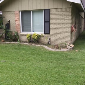 Bush Trimming by Cutting up Lawn and Tree Care reviewed on August 20, 2025