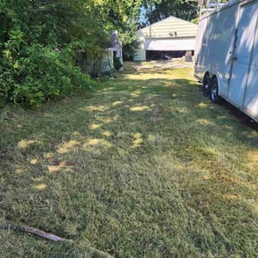 Leaf Removal by TrinityScapes reviewed on September 16, 2025