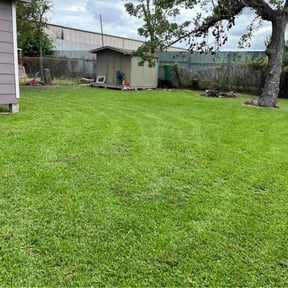 yard care by Do it all reviewed on August 20, 2025