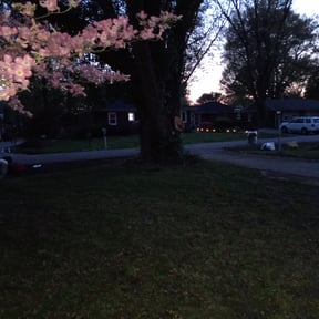 Leaf Removal by Strategically Designed Property Solutions reviewed on September 22, 2025