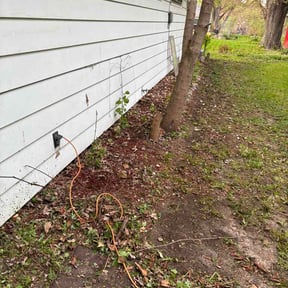 Leaf Removal by Hogman and sons lawncare plus reviewed on August 26, 2026