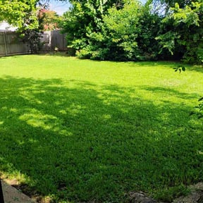 yard care by Perry Family Maintenance LLC reviewed on August 15, 2025