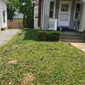 Bush Trimming by Clc reviewed on August 18, 2025