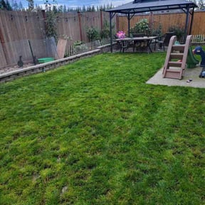 lawn care services by GetYarded reviewed on August 10, 2023