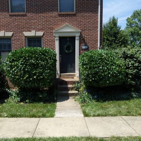 Bush Trimming by Scott Bensing Lawn Care reviewed on August 19, 2025