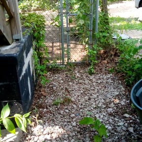 Leaf Removal by Agape Lawn Service  reviewed on September 22, 2025