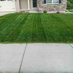 Long Grass Cleanup by Gonzalez Landscaping reviewed on March 7, 2024
