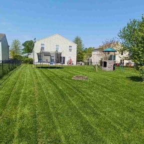 landscaping by 911 elite landscaping reviewed on August 18, 2025