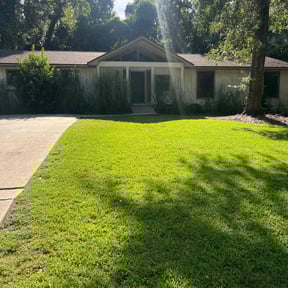 landscape maintenance by DrLawnCare LLC reviewed on August 19, 2025