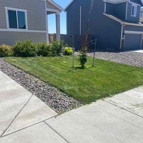gardening service by Tried & True Landscape reviewed on August 20, 2025