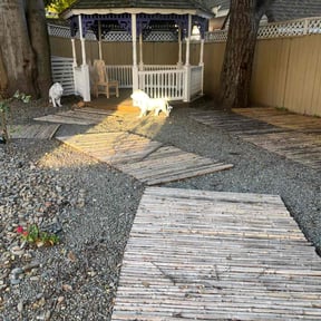 Leaf Removal by A better way LLC reviewed on December 3, 2025