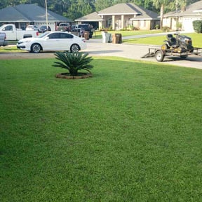 yard service by Swiftcutz reviewed on August 16, 2025