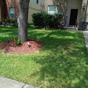 yard maintenance by Fordson Lawn Care reviewed on August 21, 2025