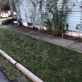 Flower Bed Weeding by Timothy Inge reviewed on August 19, 2025