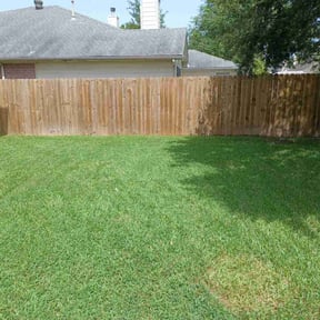 yard service by Braun Consulting reviewed on August 21, 2025