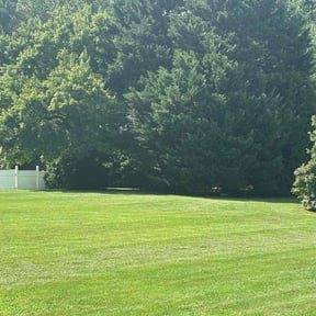 lawn maintenance by A Plus T lawnCare Service reviewed on August 21, 2025