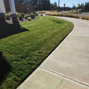 grass cutting by Robert Norton’s Lawn Care reviewed on July 20, 2025