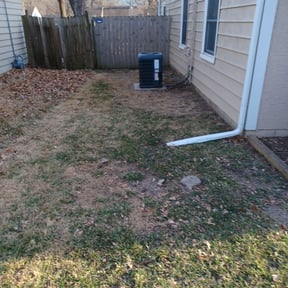 Leaf Removal by 3DM reviewed on September 22, 2025