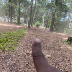 Leaf Removal by Prodigy Contractors Inc reviewed on May 23, 2026