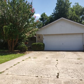 Bush Trimming by Abney's lawncare reviewed on August 15, 2025