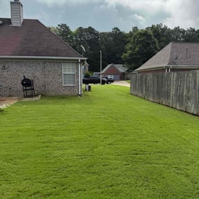 yard maintenance by Corey's Cuts Lawncare LLC reviewed on August 17, 2025