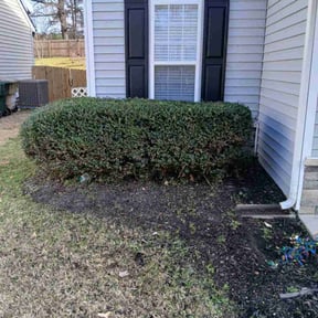 Bush Trimming by FRL Landscaping reviewed on August 18, 2025